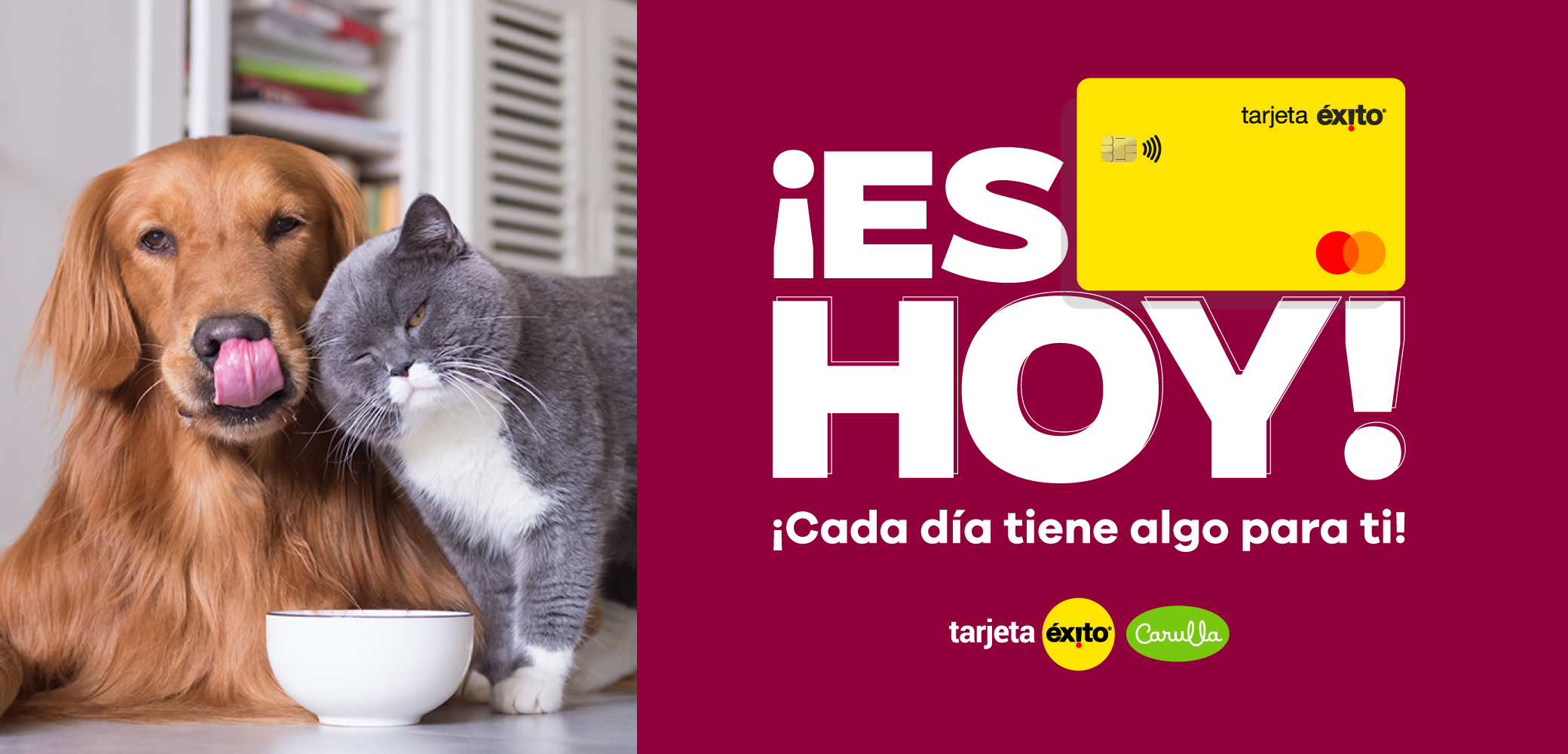 ¡Es hoy! Cada día tiene algo para ti, con tus Tarjetas Éxito y Carulla Mastercard