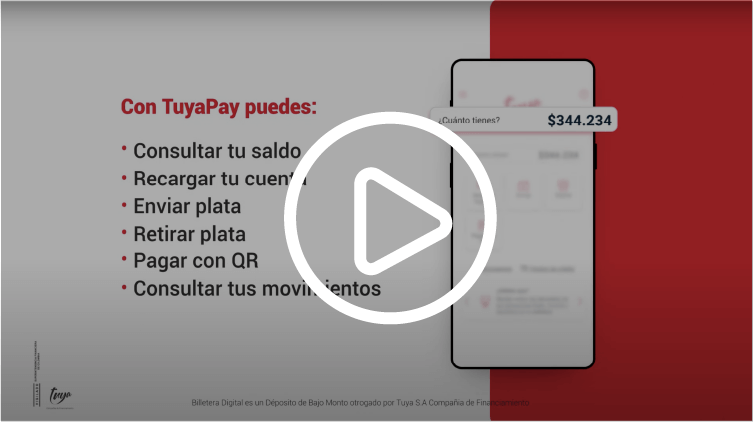 Imagen video Tuya pay