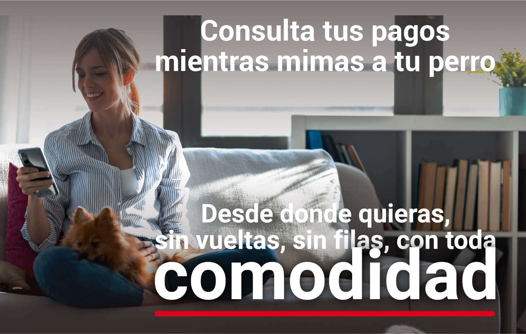 Banner Principal Consultas Digitales