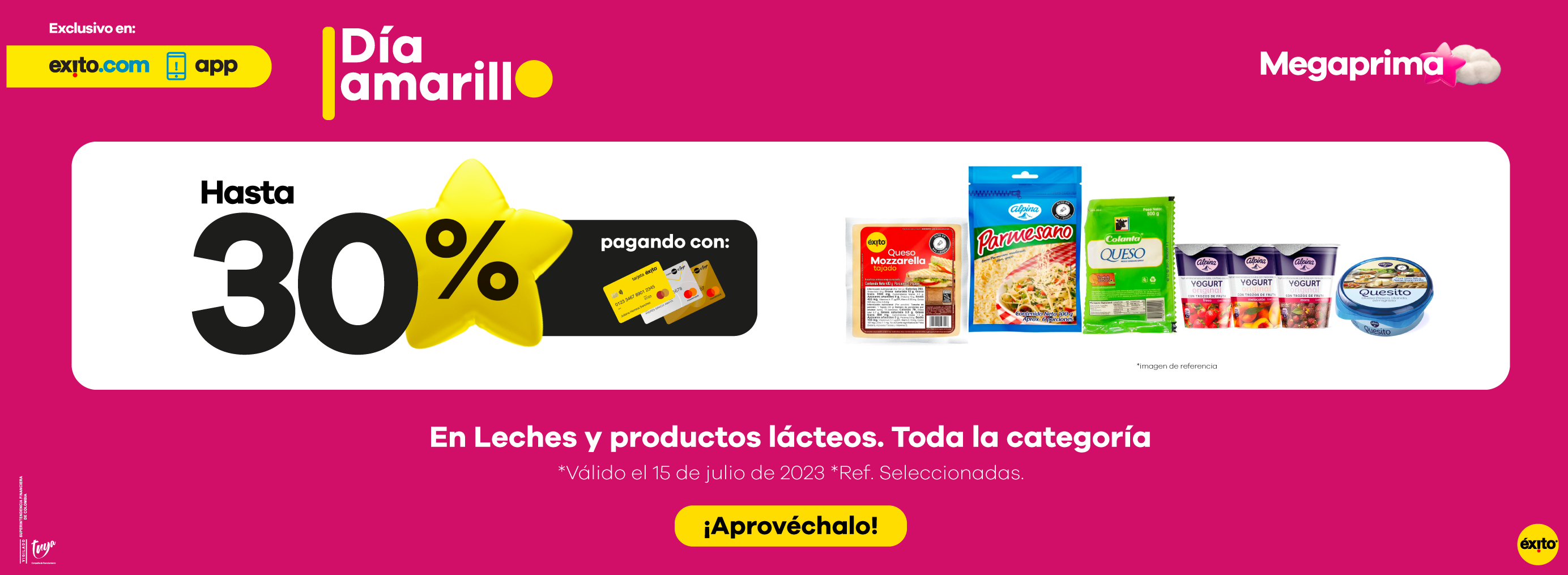 Oferta #6 - 30% en Lecehes y Productos lacteos