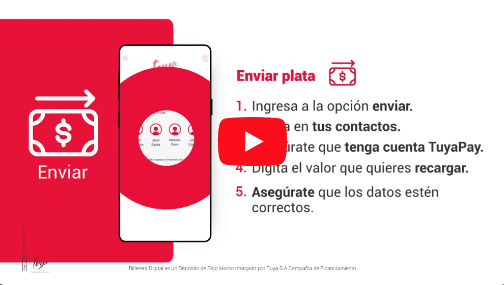 Enviar plata